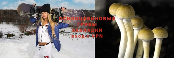 а пвп мука Богородицк