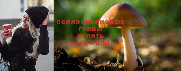а пвп мука Богородицк