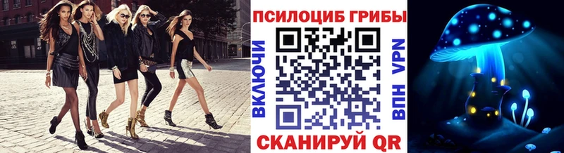 Галлюциногенные грибы Psilocybe цена Ярцево
